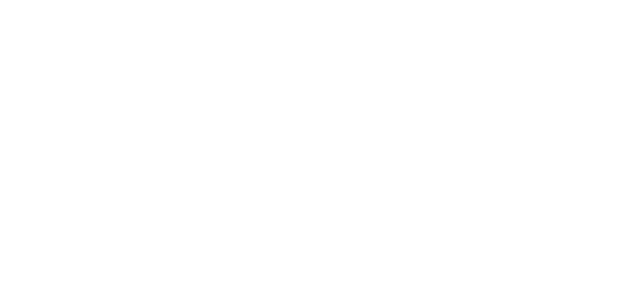 logo light